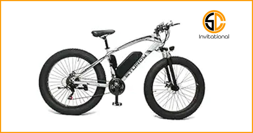 Kids Electric Bikes