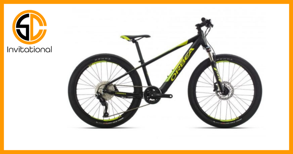 electric mountain bike