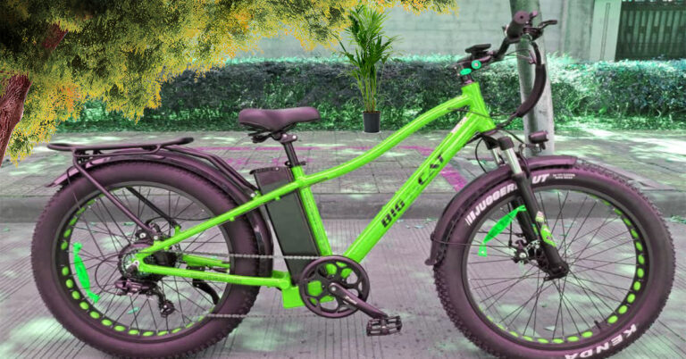 Energize Your Ride with the Wonderful Electric Bike 1000W