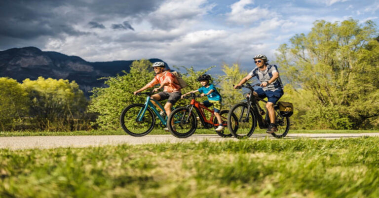 Rockshark Electric Bike